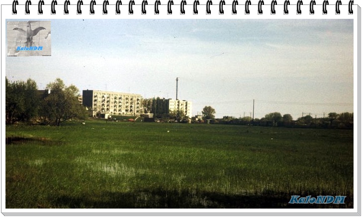 1 - Ulica Warszawska, widok na Mazowiecką - początek lat 90-tych. Kiedyś rozlewiska, obecnie ogródki działkowe Pestka.JPG